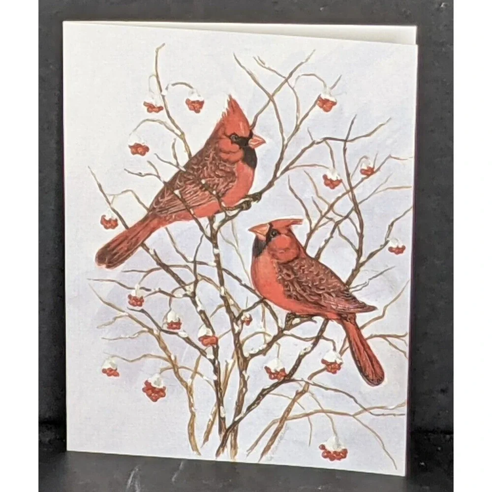 Wild Bird Notecards Blank LOT OF 13 Some Duplicates 4.25 x 5.5